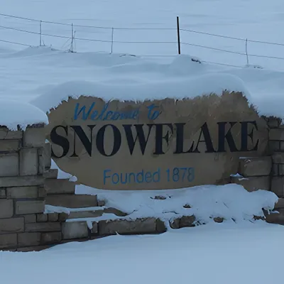 Fine jewelry store near Snowflake