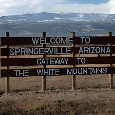Fine jewelry store near Springerville