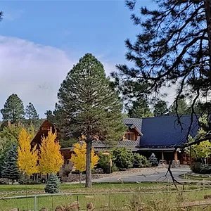 Fine jewelry store near Heber-Overgaard