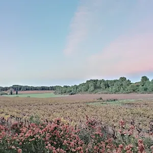 Fine jewelry store near Pinetop-Lakeside